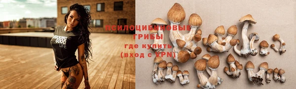 не бодяженный Волосово